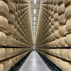 IL NOSTRO NUOVO MAGAZZINO È OPERATIVO!