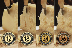 Parmigiano Reggiano - KIT FOUR SEASON - Stagionature 12-18-24-36 MESI - Pezzature da 0,7Kg