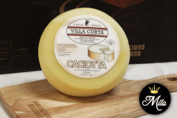 CACIOTTA - Pezzatura da 1,6 Kg CACIOTTA - Pezzatura da 1,6 Kg